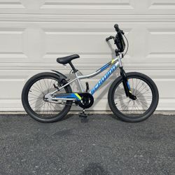 Schwinn 20” Kids Boys Bike Bicycle Hand Brake Coaster Brake