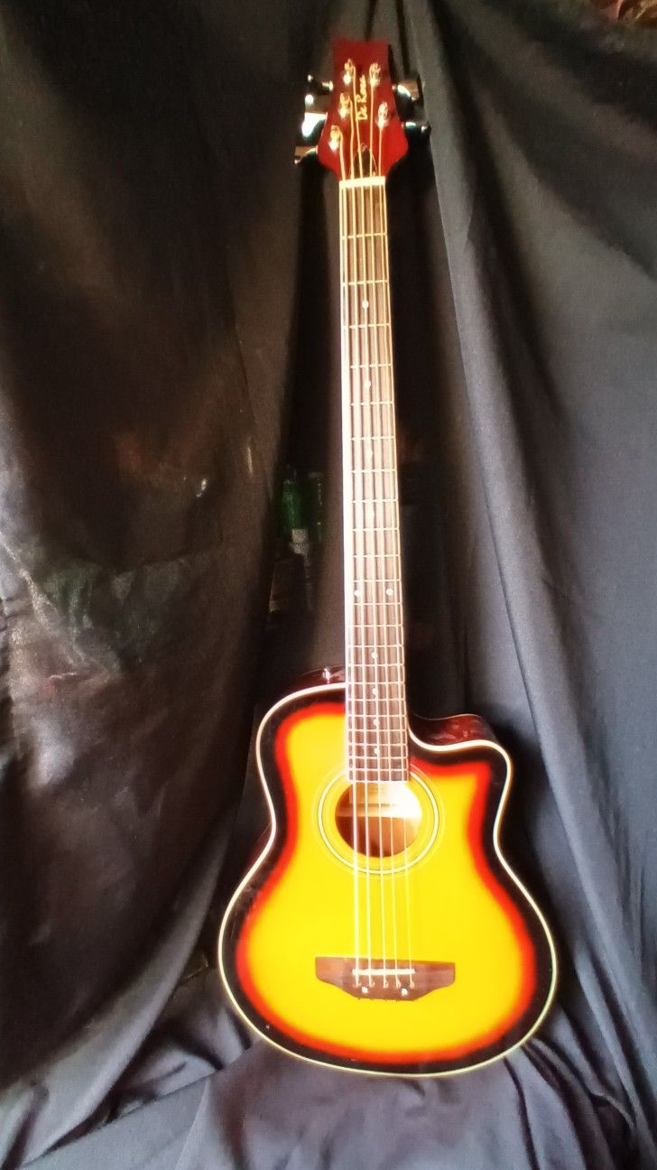 De Rosa Acoustic Electric Bass 