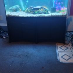 55 Gal Aquarium With Stand Delivery Available 
