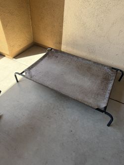 Raised Dog Bed