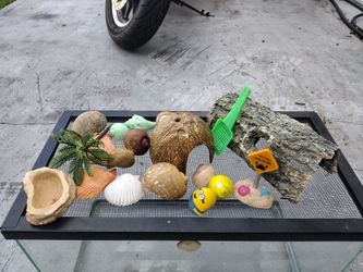 Hermit crab starter kit