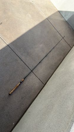 Pflueger President Spinning Rod