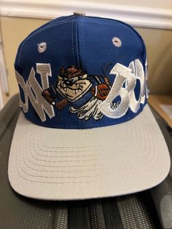 RARE 1993 Loony Tunes Taz Dallas Cowboys Cap