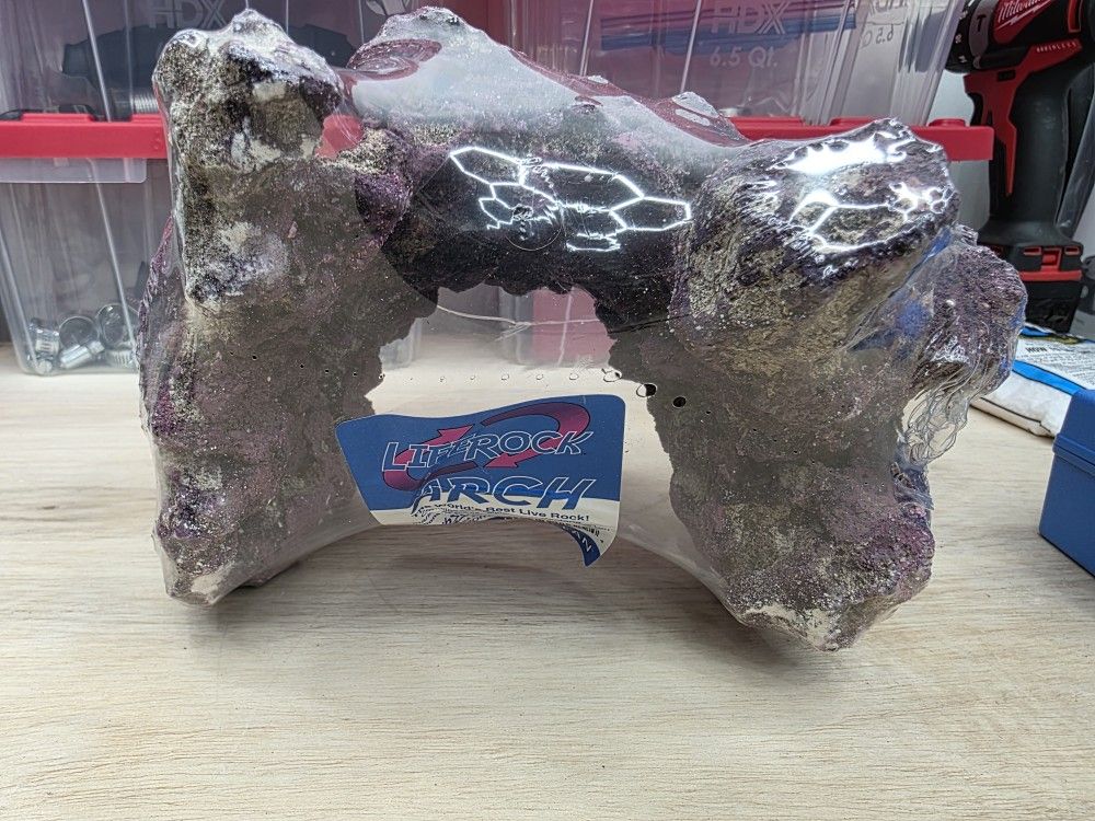 New Salt Water Rock For Fish Tank And Water Tester