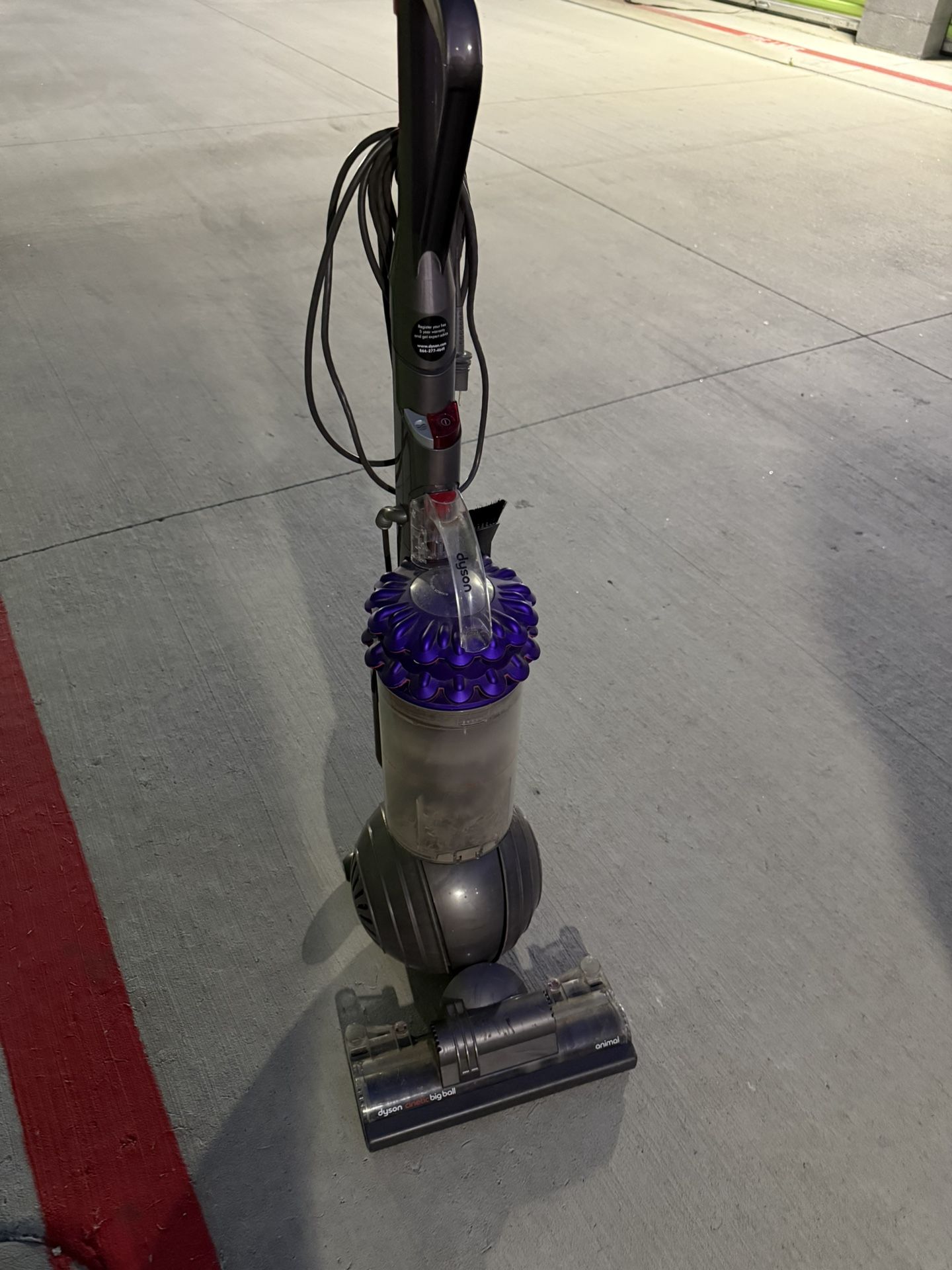 Dyson Vacuum Animal