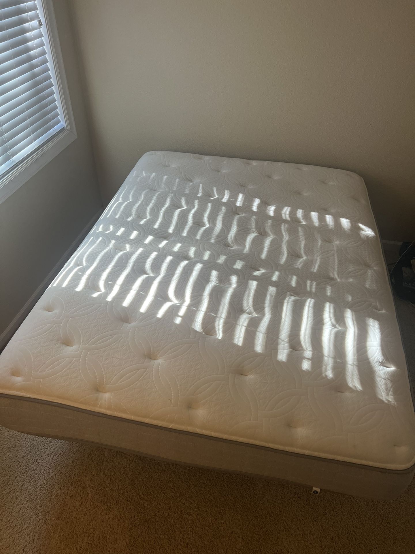 Sleep Number cSE Special Edition bed w/ adjustable frame