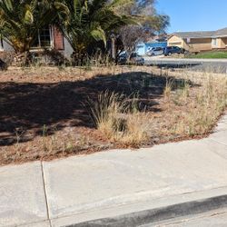 Good Lawn Mower And Grass And Clean Up Can Make  Your Yard Look Like This