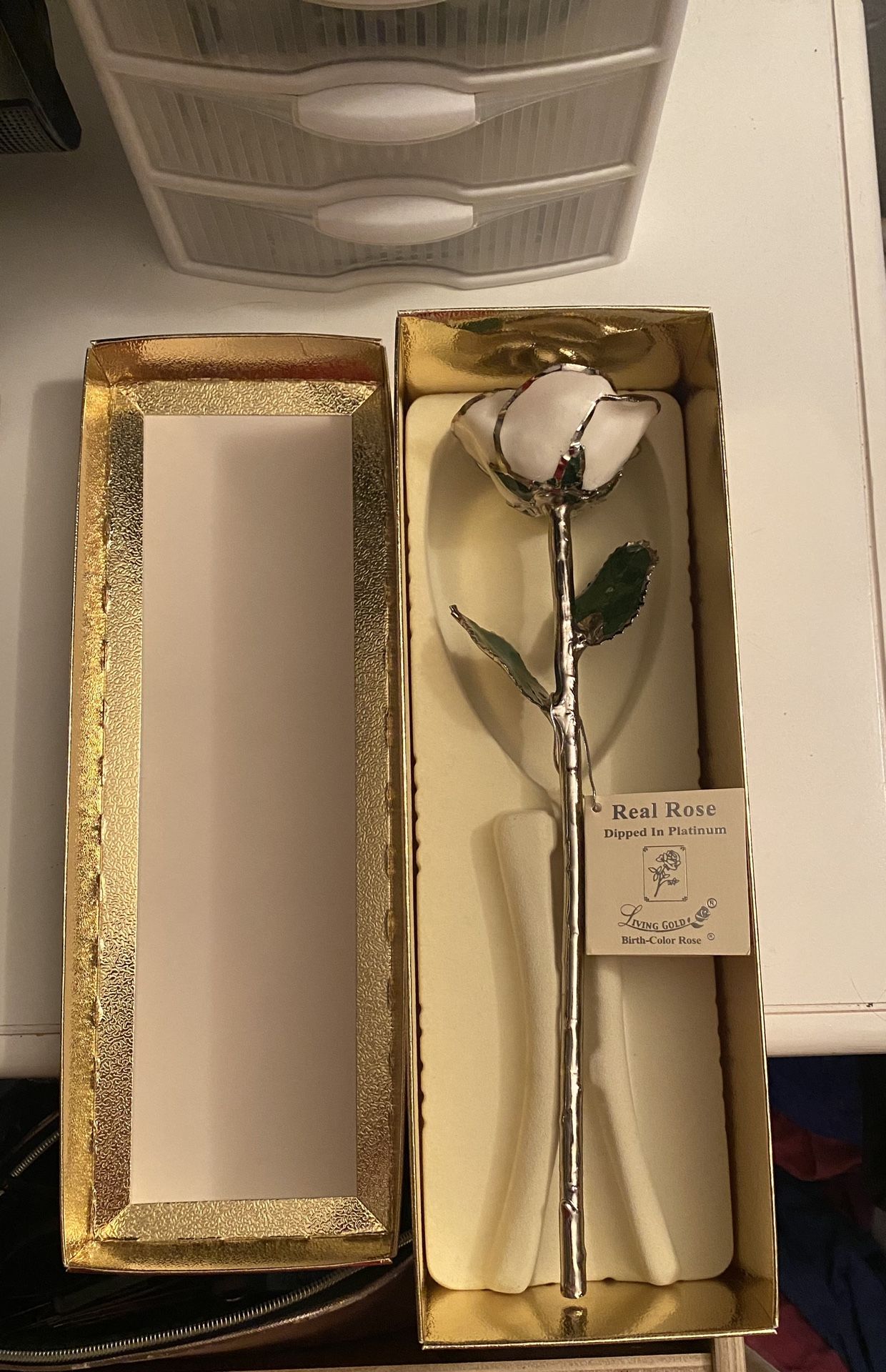 Real Rose Dipped In Platinum