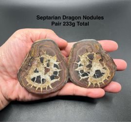 Septarian Dragon Nodules (Pair) from Morocco 233g Total