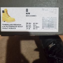Brand New Men's Size 8 Timberland Premium 