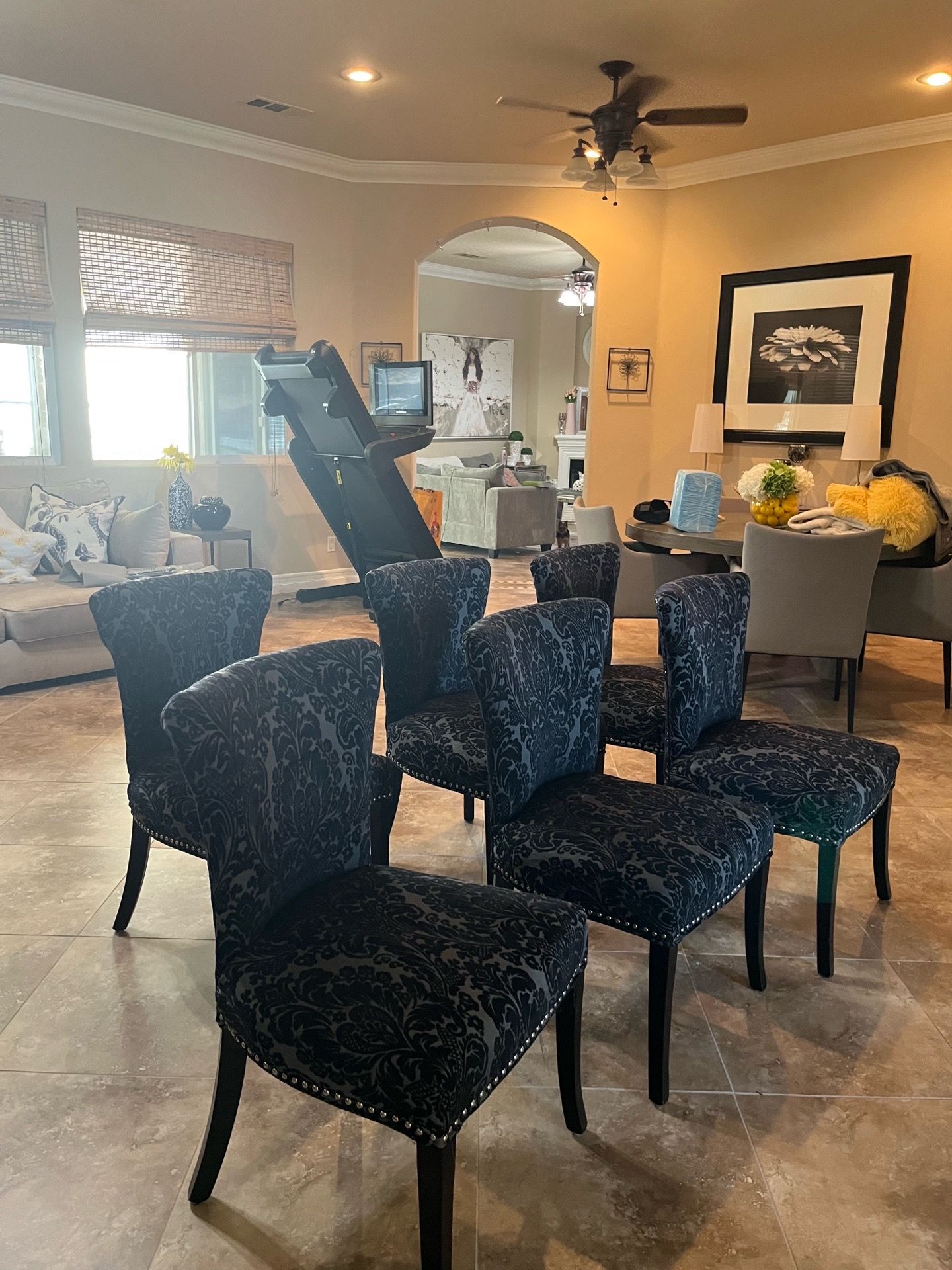 6 dining room chairs