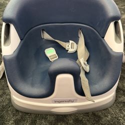 Inginuity Booster Seat
