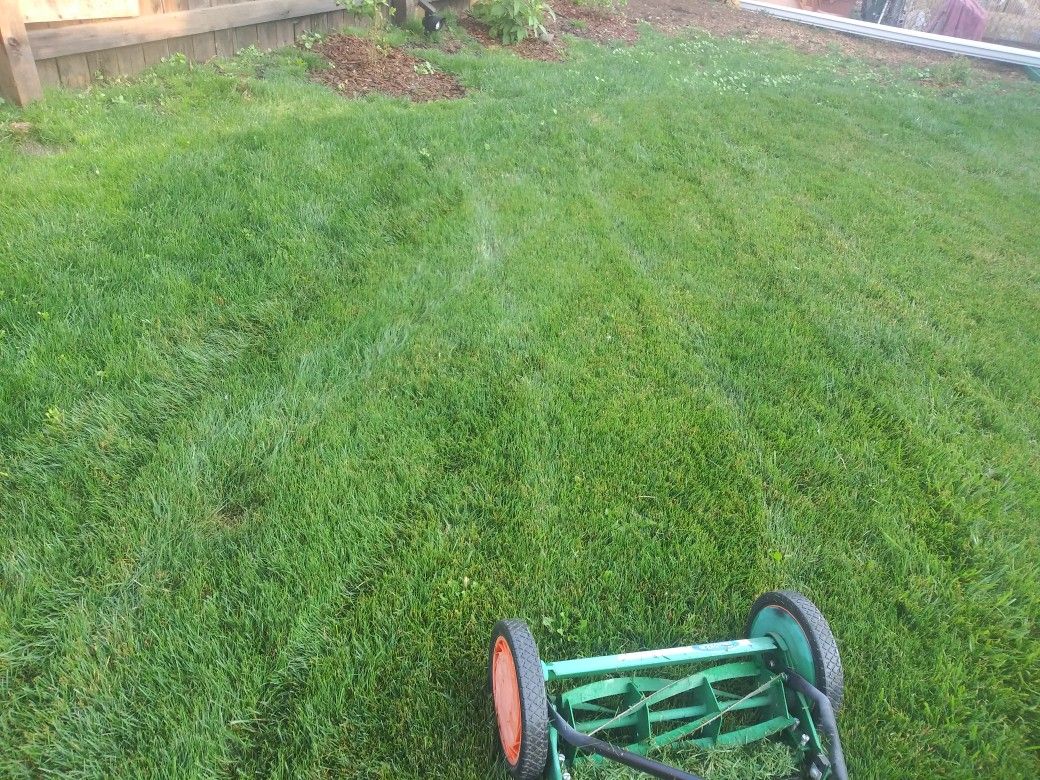 Scott's Reel Mower