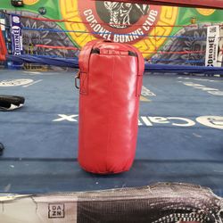 Punching Bag 