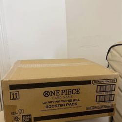 One Piece Sealed Case Op13