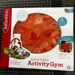 Infant Explorer And Store Activity Gym Infantino