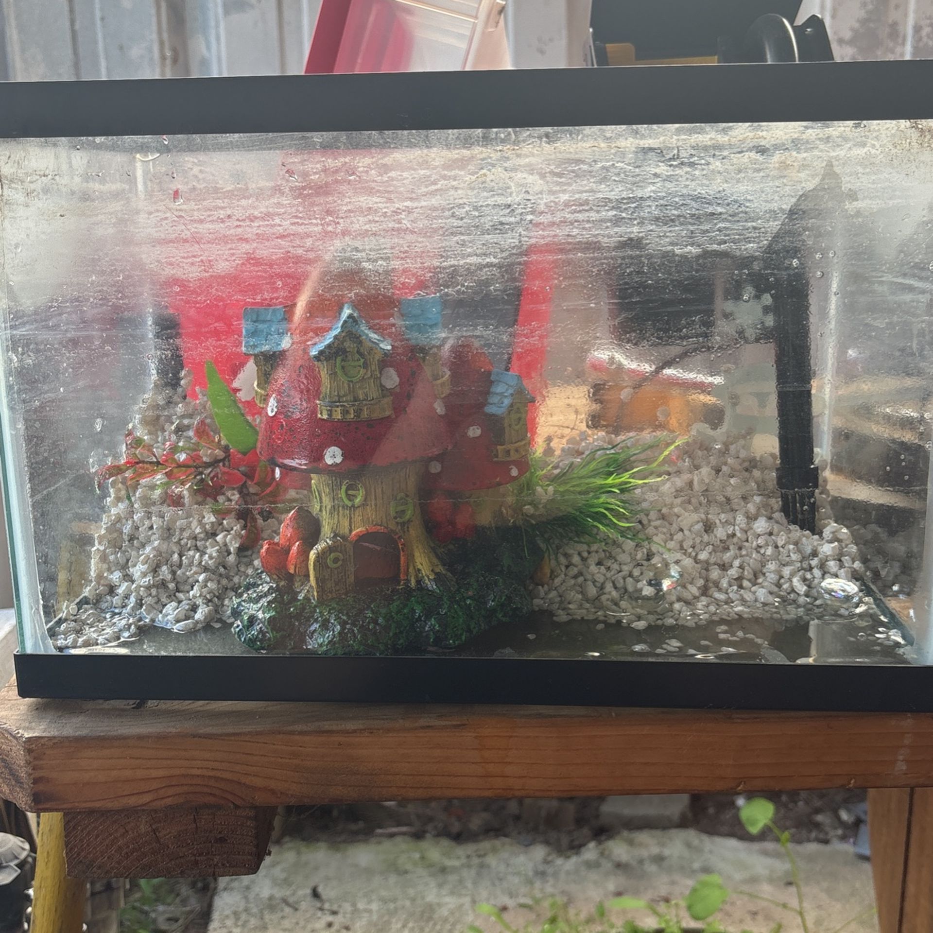 Fish Tank (everything Included)