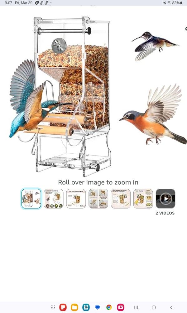 Transparent Food Container Cage No Mess Automatic Bird Feeder  (111)