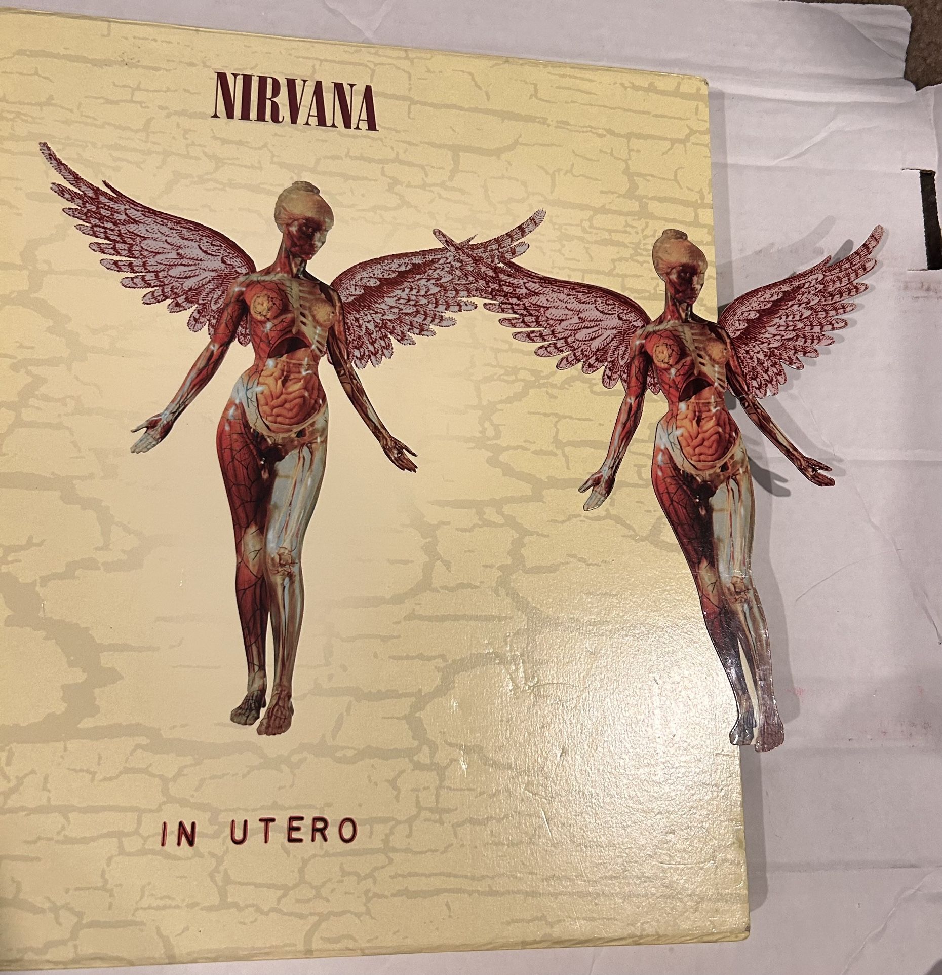 NIRVANA In Utero Limited Edition (3 CDs + 1 DVD)