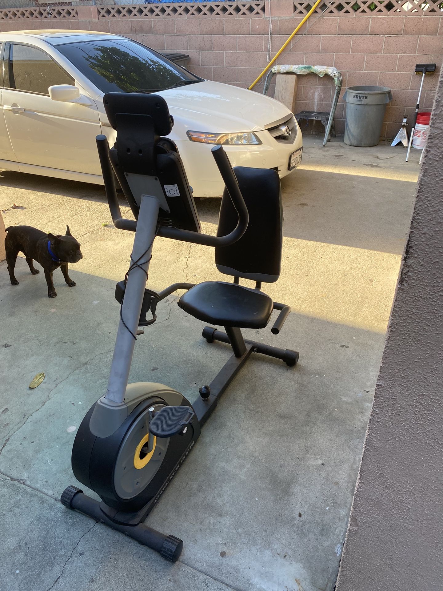 Gold Gym Bike Exercise Bike