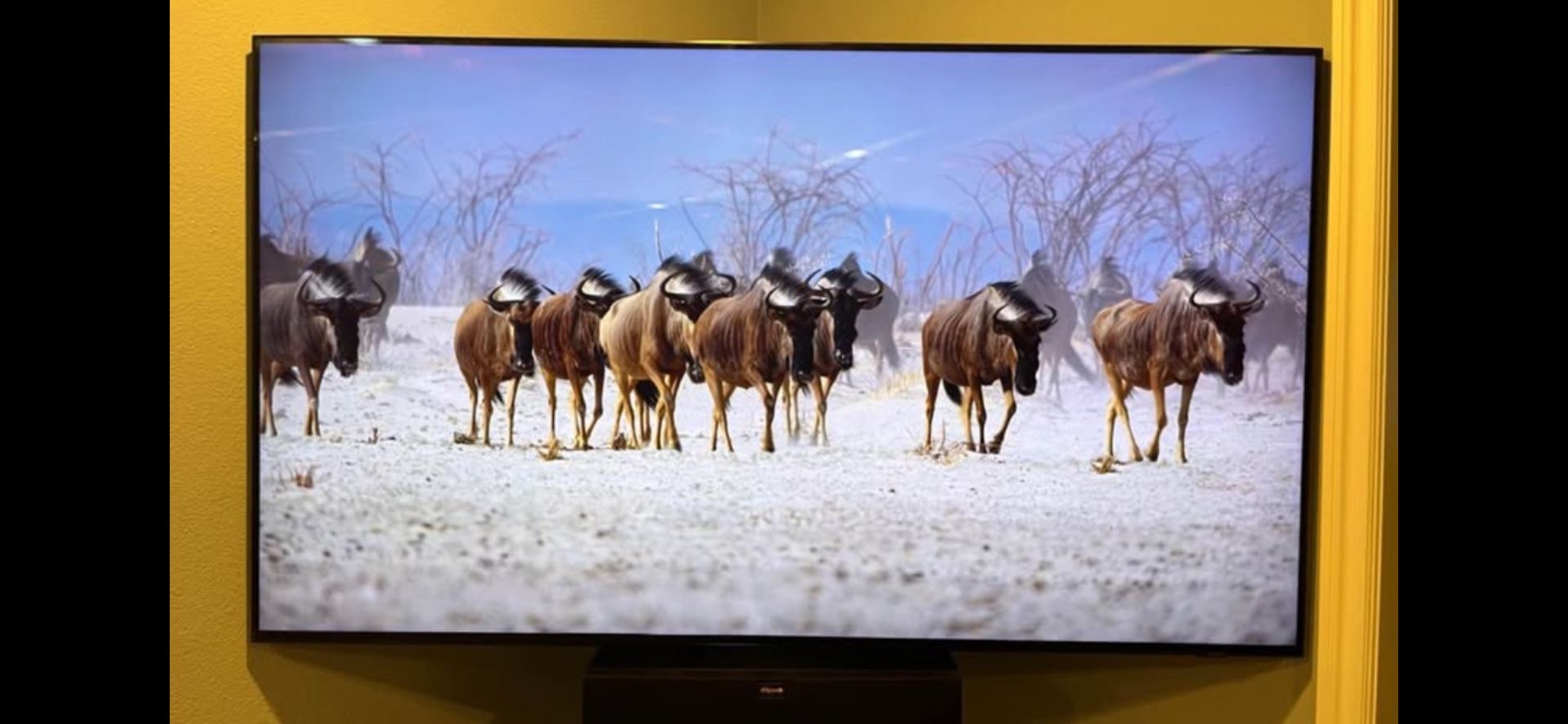 Samsung 65” TV QN65Q900RBFXZA