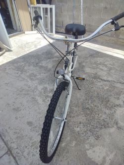 Beach cruisier