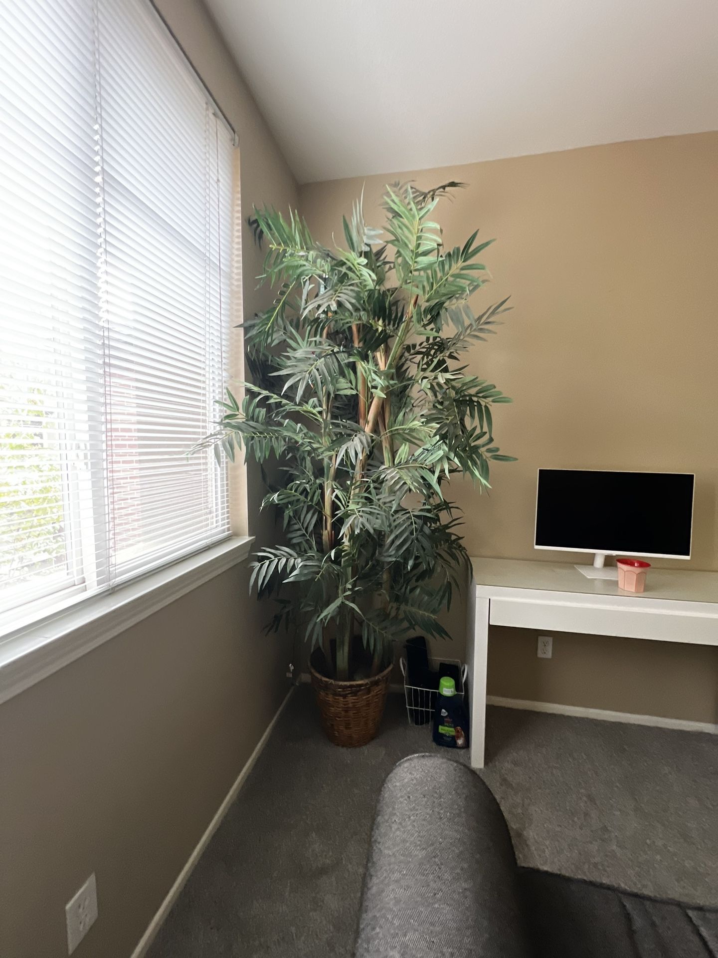 Fake Plant For Decor