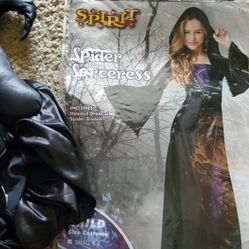 Spider Sorceress Costume
