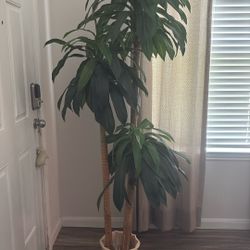 Artificial Decorative Plant