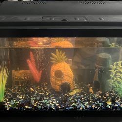 Fish Tank 10 Gallons