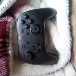 Nintendo Switch Controller 