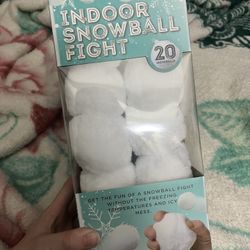 Indoor Snowball Fight Game