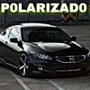 🔥Polarizado Guzmán 🔥