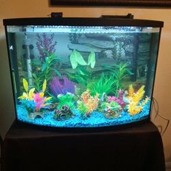 TopFin Wonder 36 Gal Bowfront Aquarium 