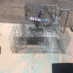 3 Live Catch Traps, Cats, Kittens, Etc