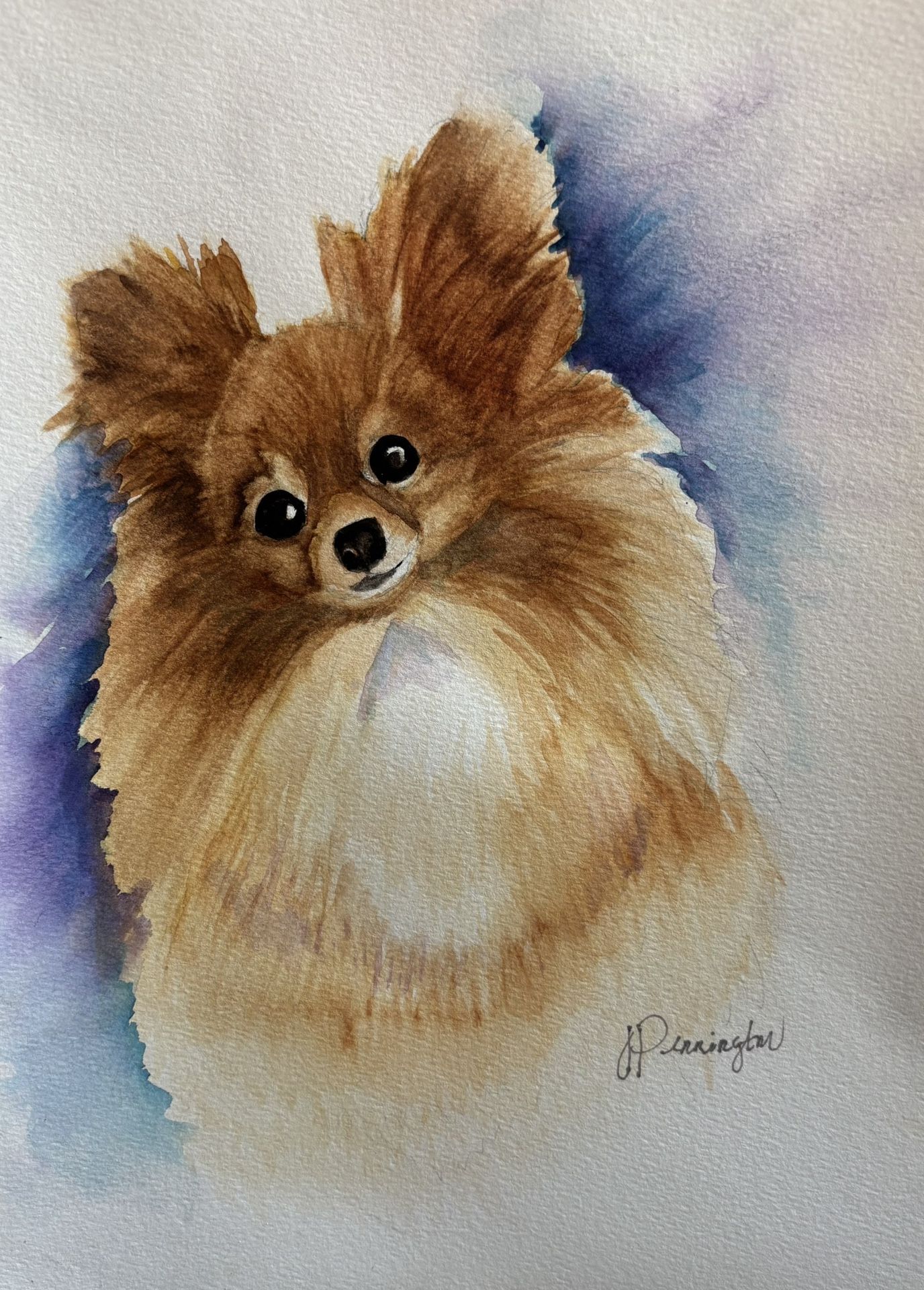 Original Painting Of Peekanese Dog On Watercolor Paper