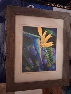 framed watercolor art print depicts a vibrant tropical Bird of Paradise flower,