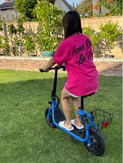 Electric scooter with adjustable car seat