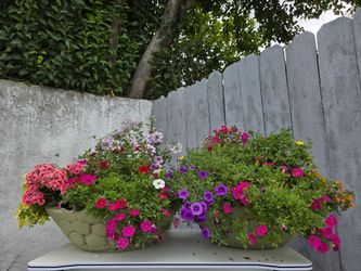 Elegant Concrete Flower Pot Set