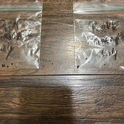 Pineapple Lily Seeds Perennials (pls Read Description Below)