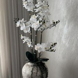 Orchid Flower Arrangement
