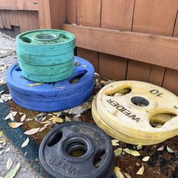 Weider Bench Press Weights 