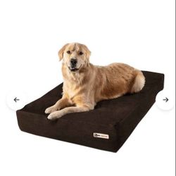 Large Dog Bed