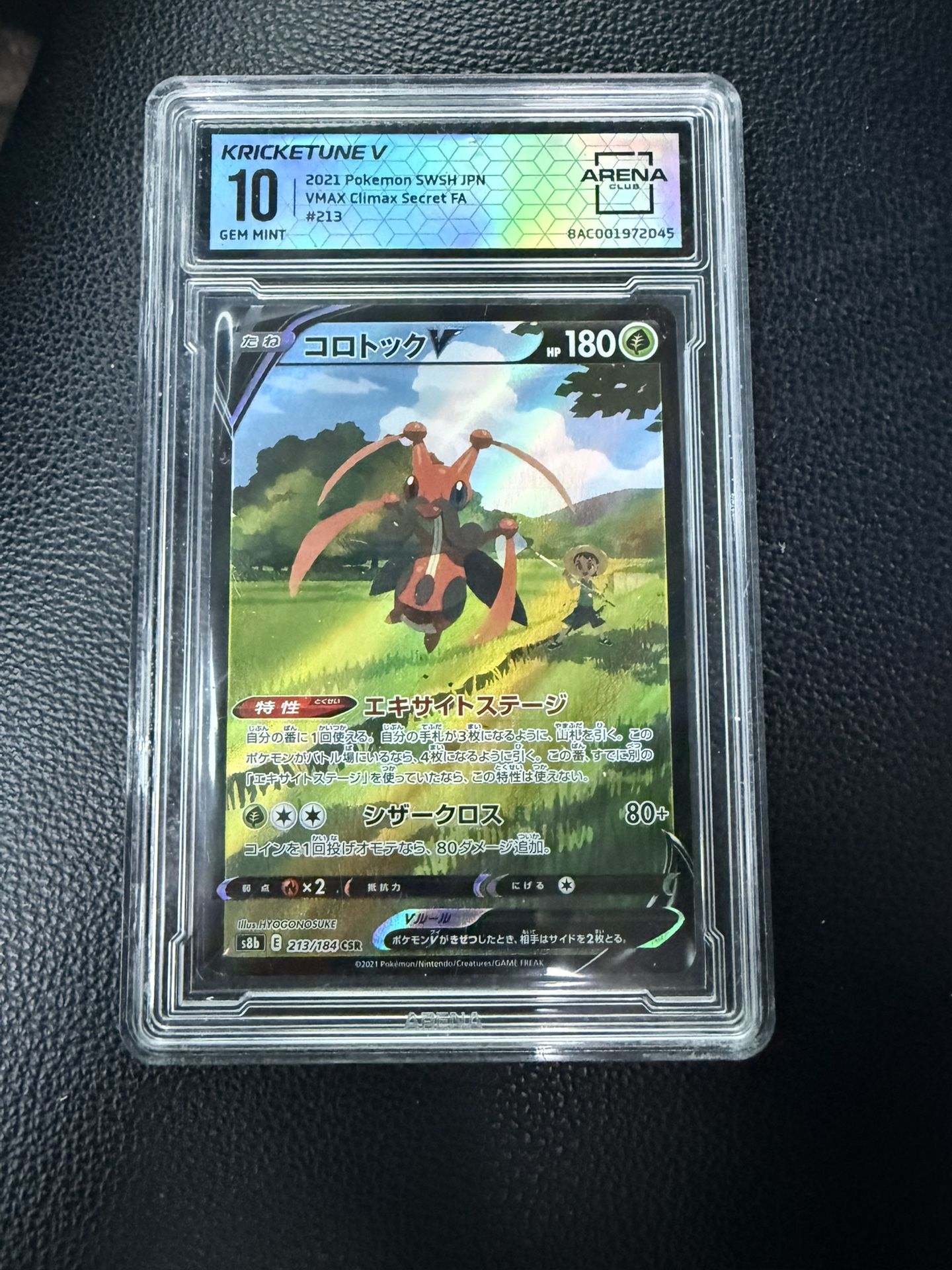 Pokemon Slabs 44 Slabs Continuation Post