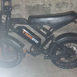 Electric TAMOBYKE V20