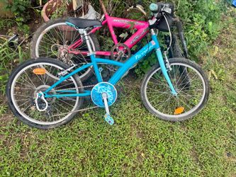 “20 bike