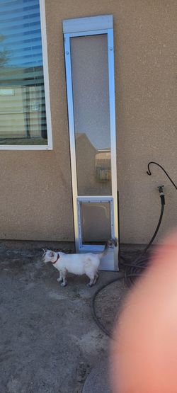 Sliding Glass Door Insert with Pet Door