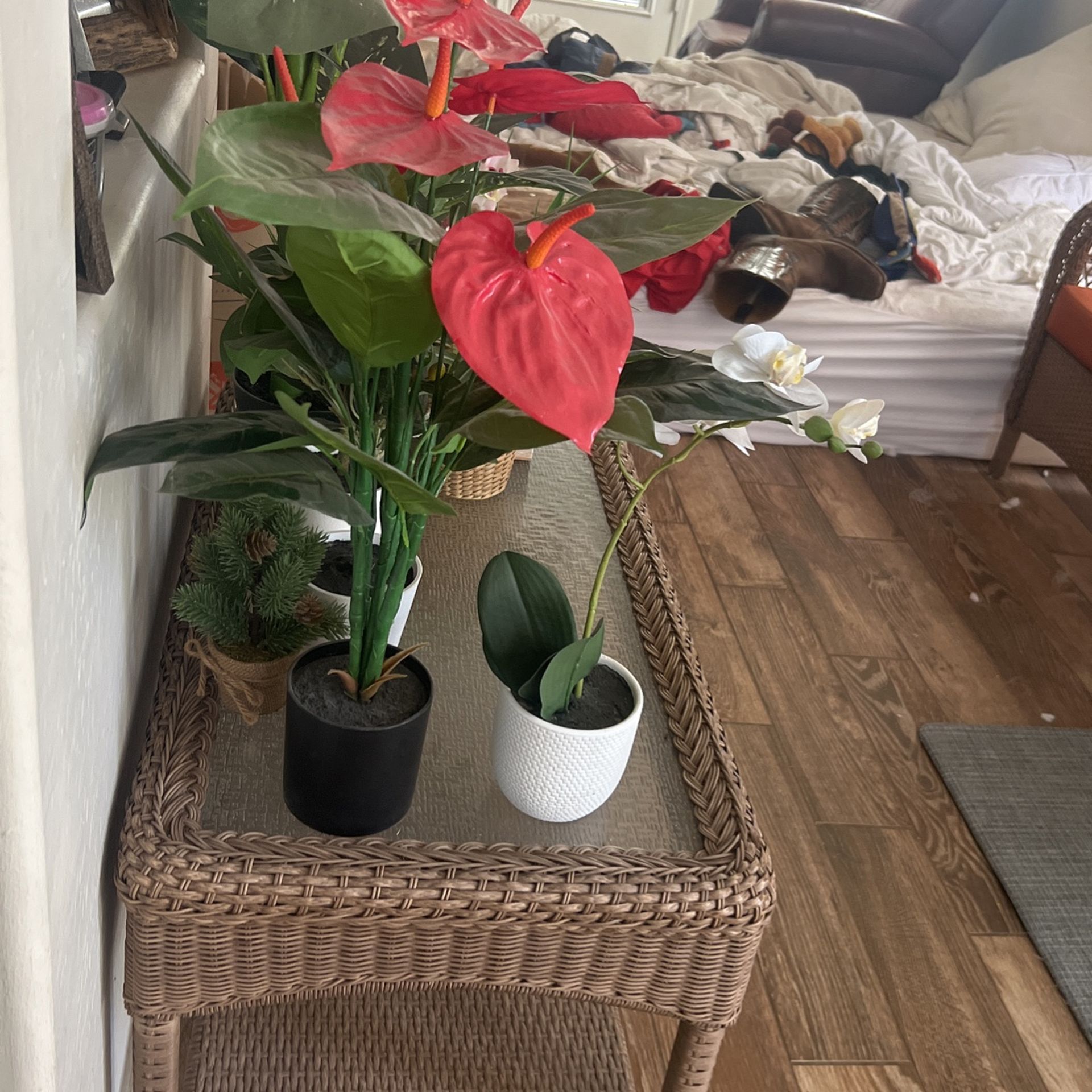 Fake Plants Assortment