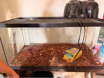 75 gallon reptile tank