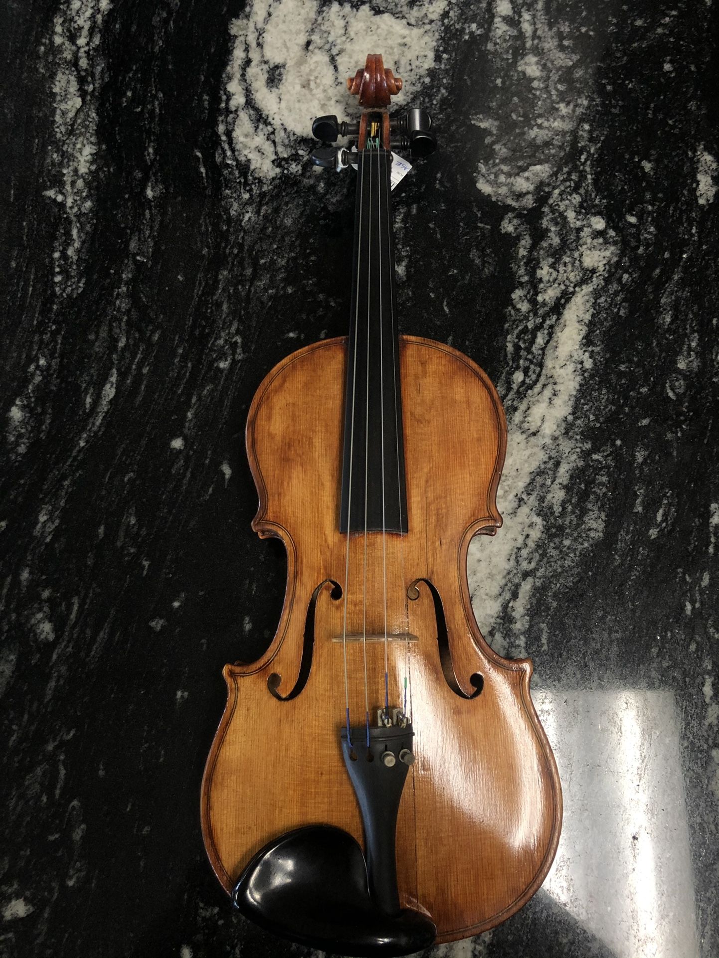 Violin